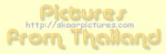 Skaarpictures.Com LOGO
