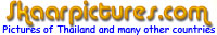 Banner SkaarPictures.Com