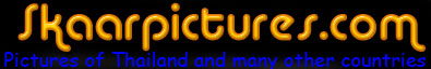 Banner SkaarPictures.Com