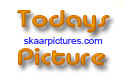 Banner Todays Picture on SkaarPictures.Com