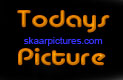 Banner Todays Picture on SkaarPictures.Com