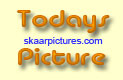 Todays Picture - Knut's Blog