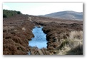 Sally Gap in Widlow Mountains, click here..