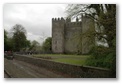 Buratty Castle and Museum, click here..