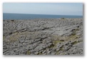 Burren coastline, click here..