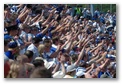 Hurling in Cork on a summer day, click here..