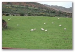 Comeragh mountains, click here..