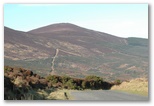Mount Melleray - Cappoquin to Clonmel, click here..
