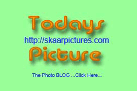 New Photos here every day.. click here..