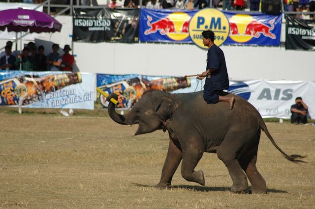dsc_6594.jpg (large)