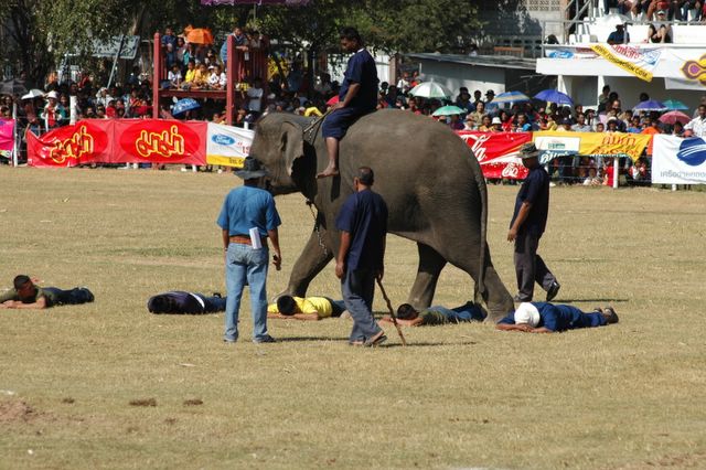 dsc_6702.jpg (large)