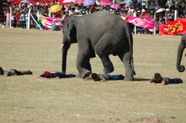 dsc_6715.jpg (large)
