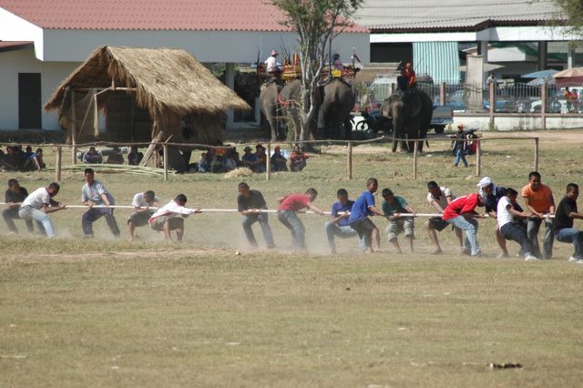 dsc_6765.jpg (large)