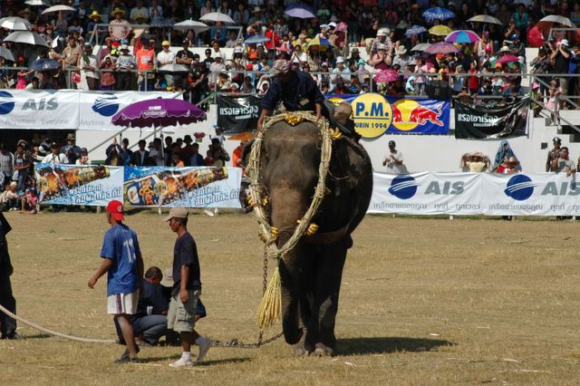 dsc_6777.jpg (large)