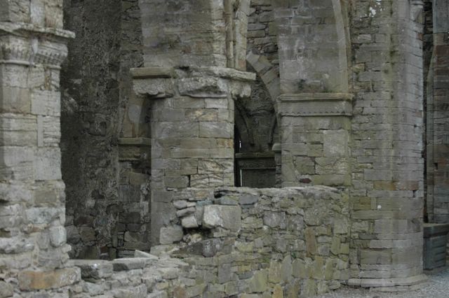dsc_0296.jpg (large)