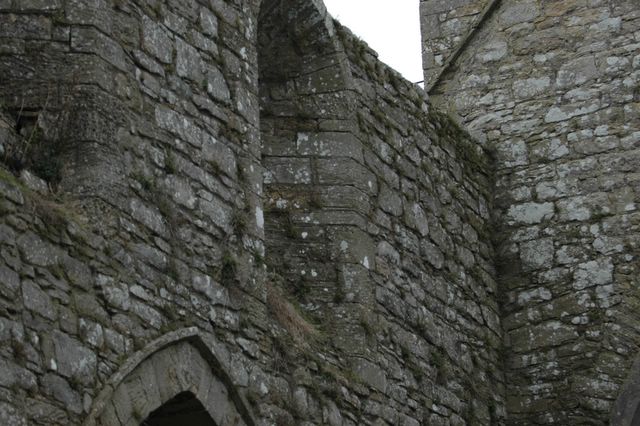 dsc_0297.jpg (large)