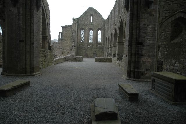 dsc_0332.jpg (large)