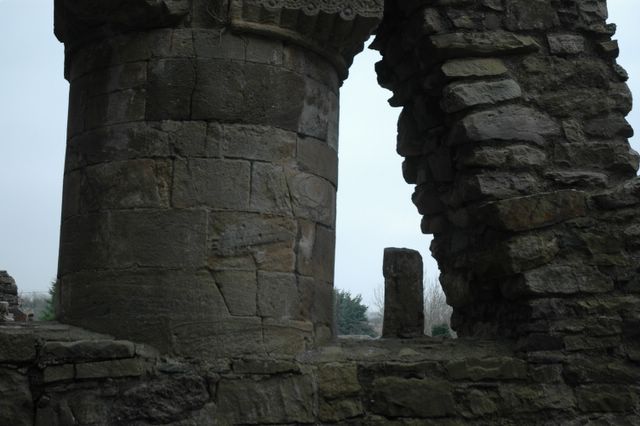 dsc_0345.jpg (large)