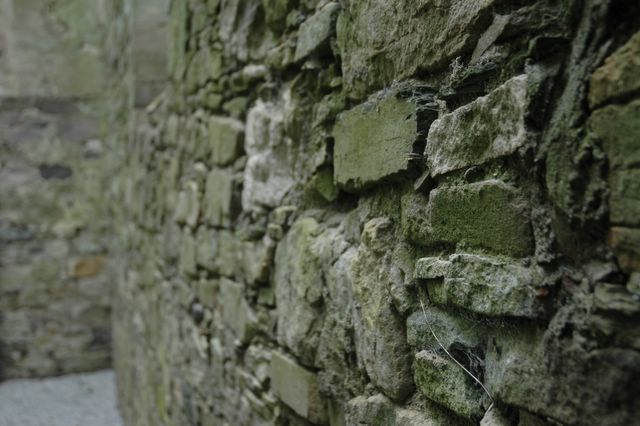 dsc_0400.jpg (large)
