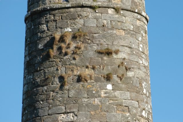 dsc_1087.jpg (large)