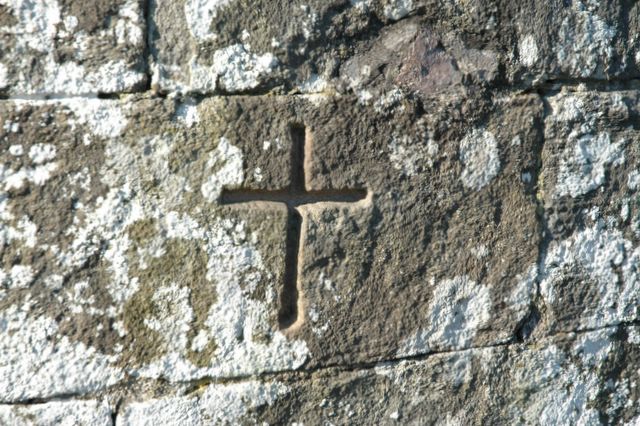 dsc_1137.jpg (large)