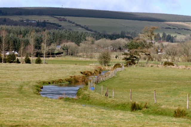 dsc_1362.jpg (large)