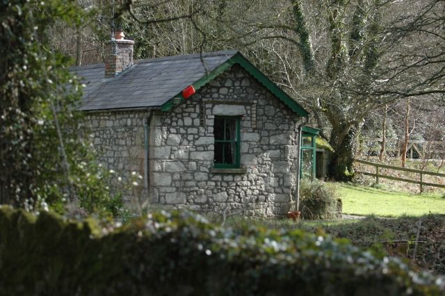 dsc_1364.jpg (large)
