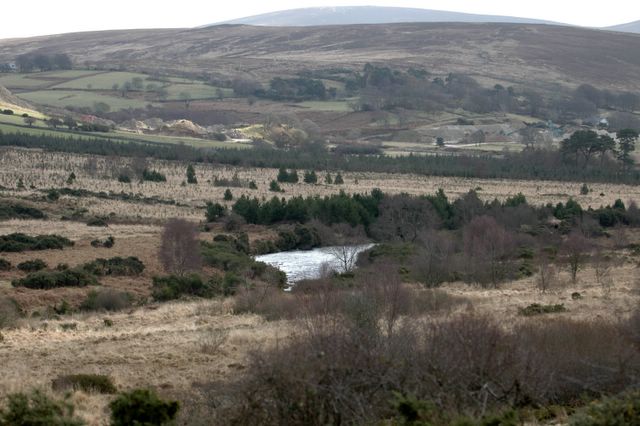 dsc_1378.jpg (large)