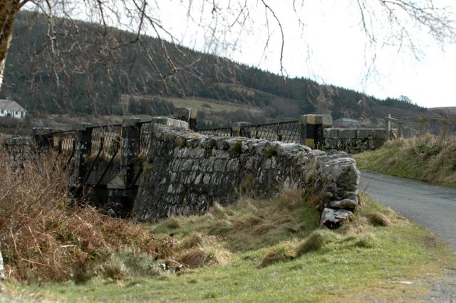 dsc_1389.jpg (large)