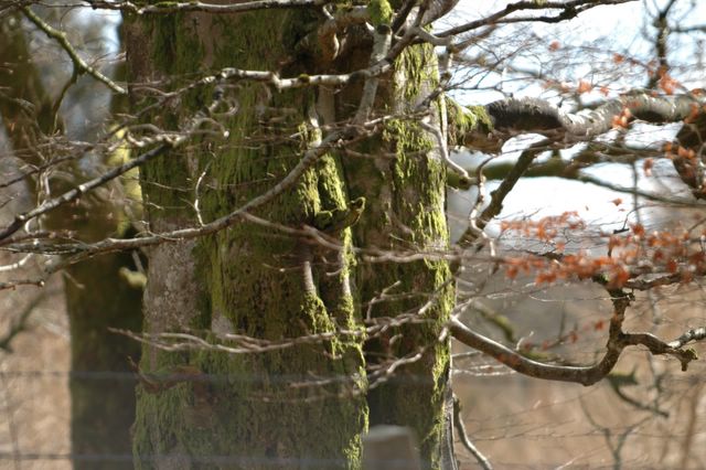 dsc_1404.jpg (large)