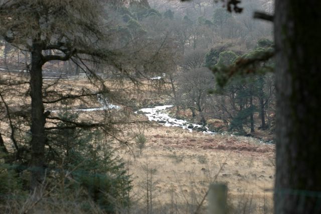 dsc_1429.jpg (large)
