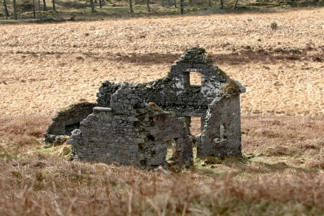 dsc_1430.jpg (large)