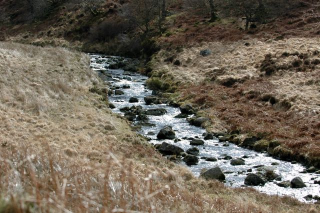 dsc_1432.jpg (large)