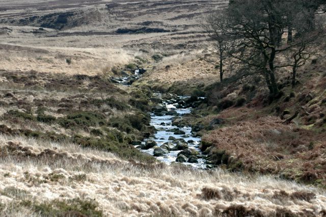 dsc_1435.jpg (large)