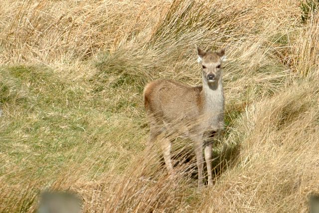 dsc_1437.jpg (large)