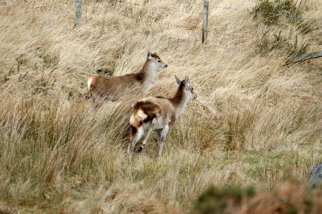 dsc_1447.jpg (large)