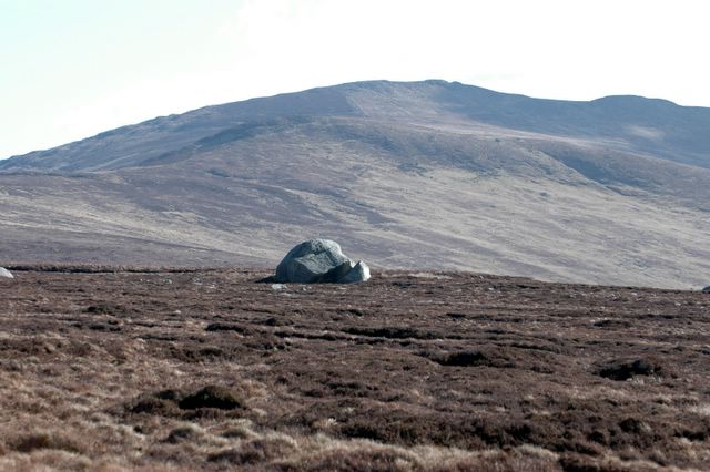 dsc_1476.jpg (large)