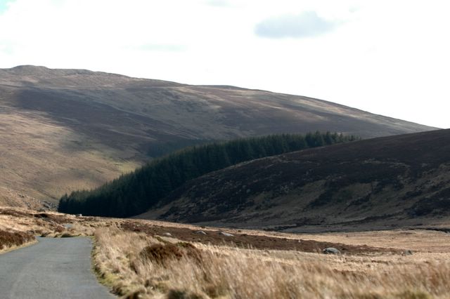 dsc_1479.jpg (large)