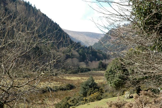 dsc_1523.jpg (large)
