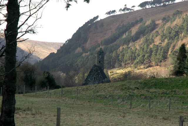 dsc_1531.jpg (large)