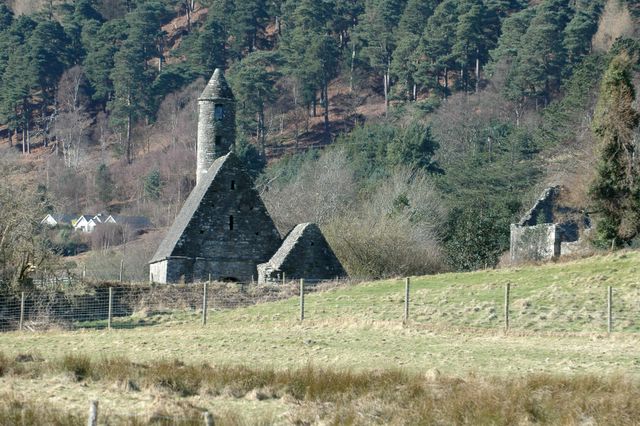 dsc_1541.jpg (large)