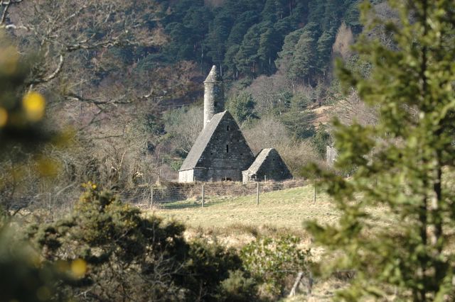 dsc_1542.jpg (large)