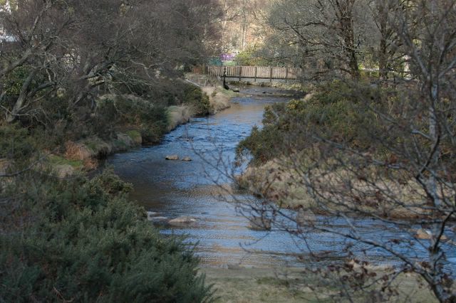 dsc_1548.jpg (large)