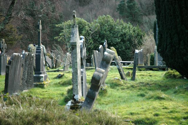 dsc_1647.jpg (large)