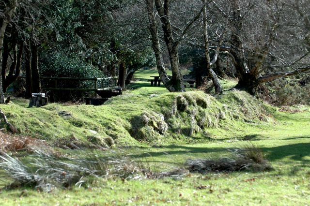 dsc_1670.jpg (large)