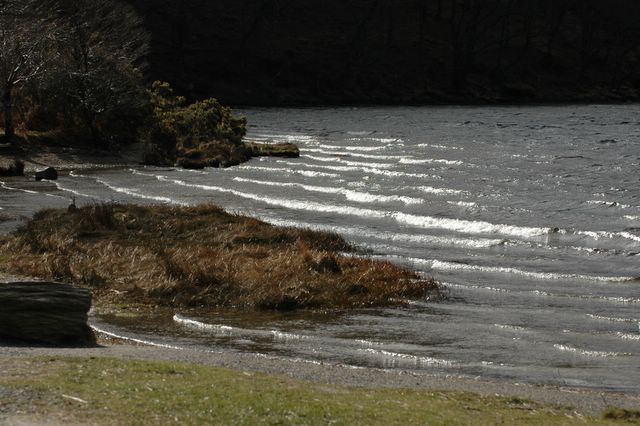dsc_1683.jpg (large)