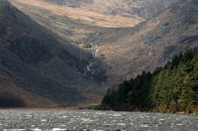 dsc_1684.jpg (large)