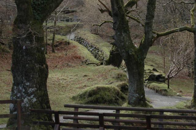 dsc_1692.jpg (large)