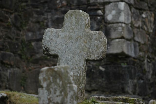 dsc_1702.jpg (large)