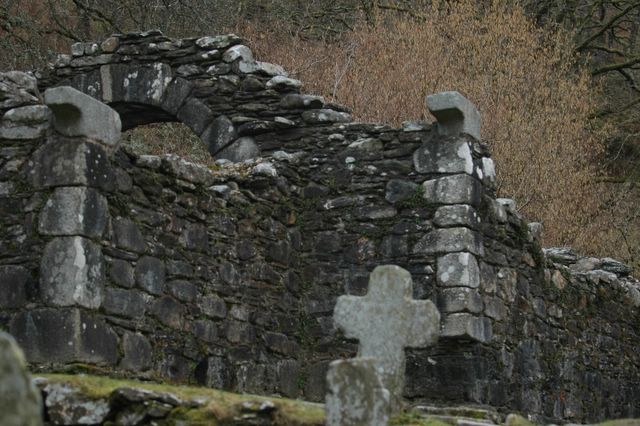 dsc_1703.jpg (large)